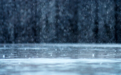 Managing Portable Restrooms in Bad Weather